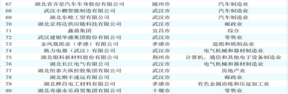 湖北老哥论坛首页集团蝉联2025湖北民企百强榜单图片