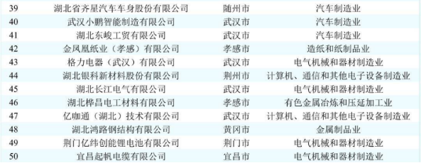 湖北老哥论坛首页集团蝉联2025湖北民企百强榜单图片